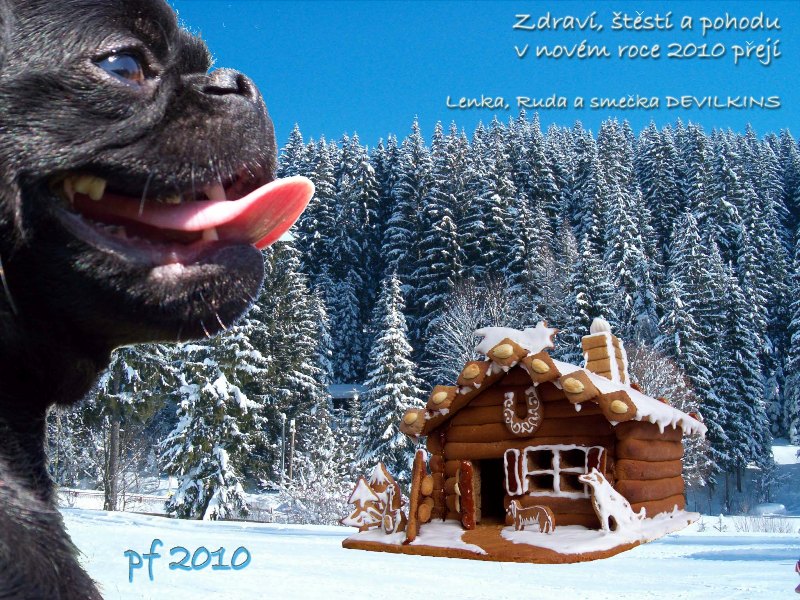 Krásné Vánoce!