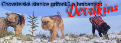 Kennel DEVILKINS